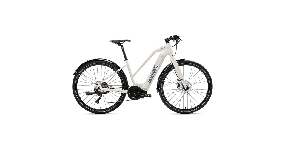 2026_06_18_1180173